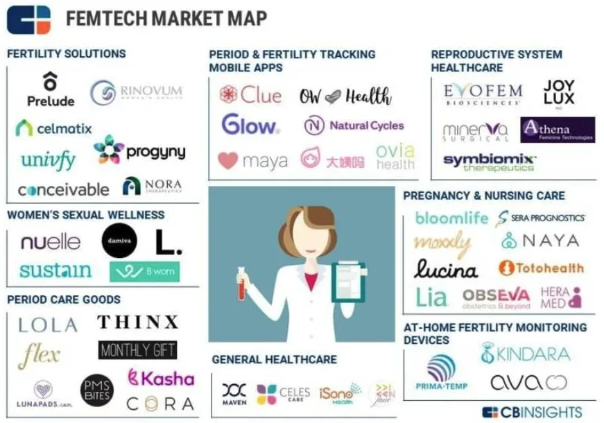 Femtech market map