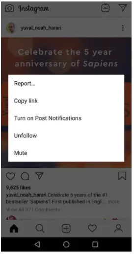 Instagram 'Mute' option in the user interface