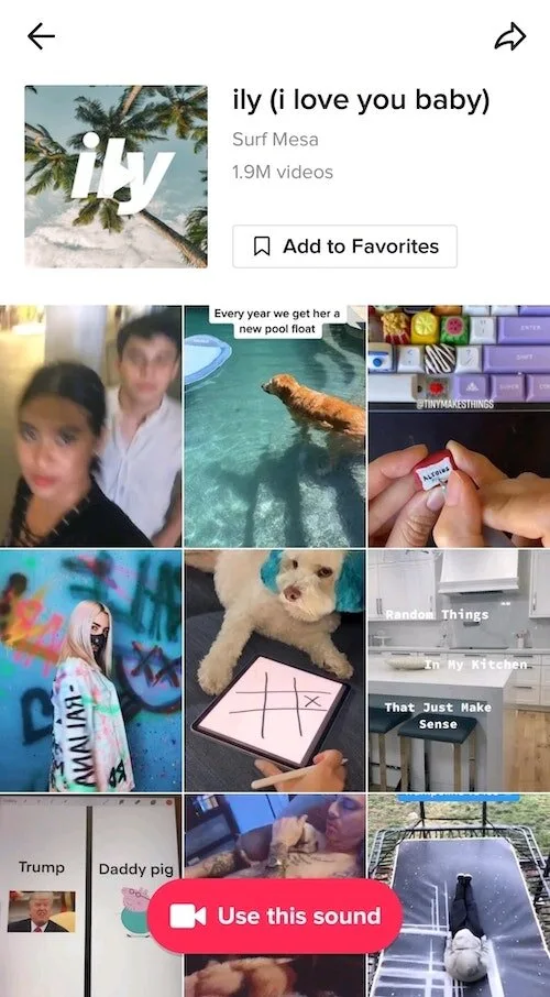 TikTok interface highlighting the animated 'Soundtrack' feature